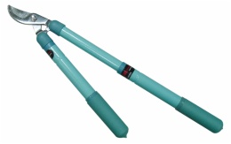 Loping shears with Telescopic Handle