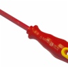 Electrician Screwdriver 1000V TUV/GS approved