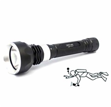 Alu Flashlight- F015