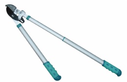 Loping Shears with Telescopic Handle