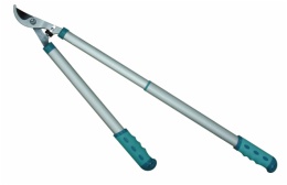 Loping shears with Telescopic Handle